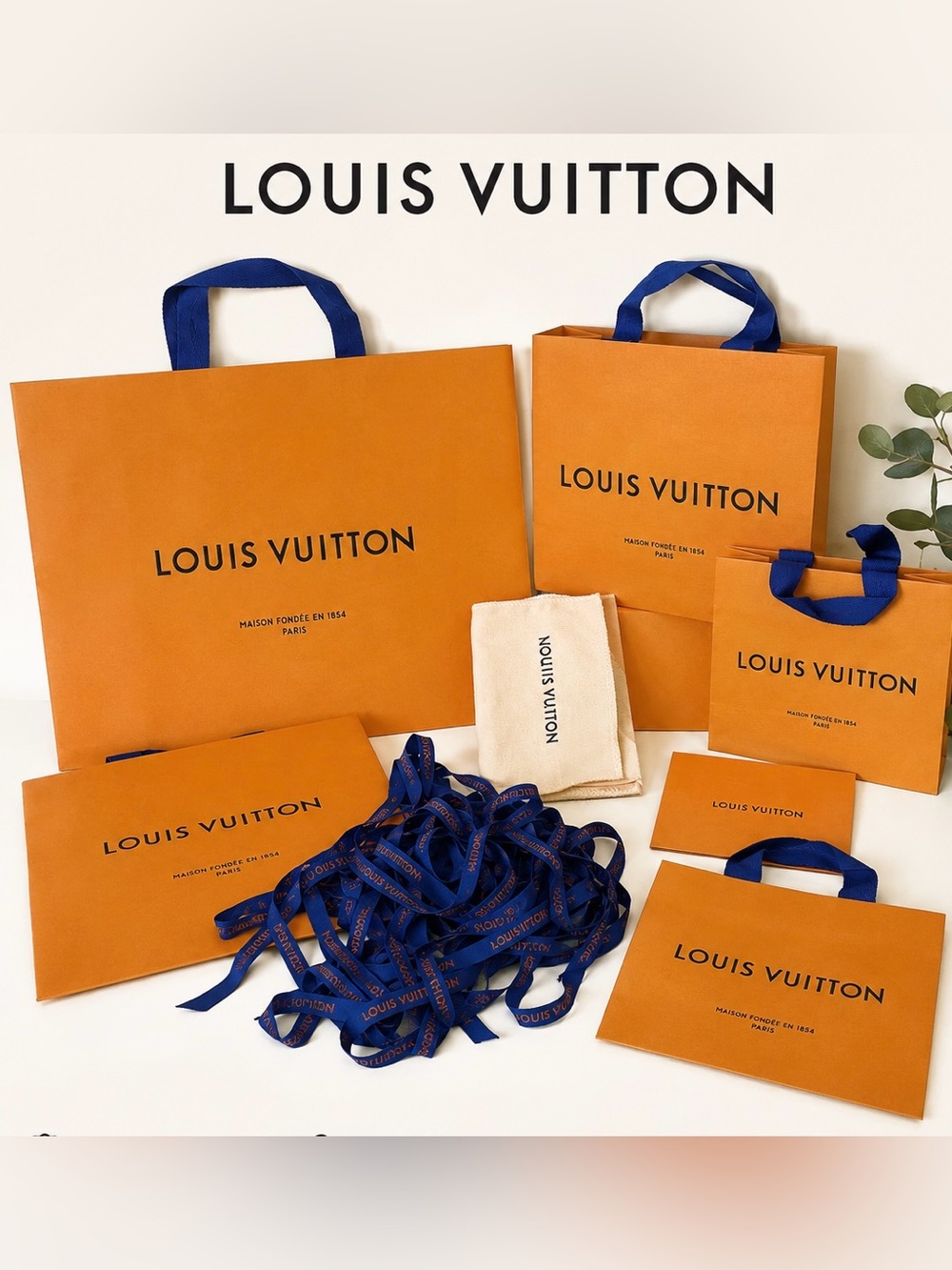 Authentic Louis Vuitton Packaging Lot 5 Bags Dust Bag Ribbon Envelope Large Mix